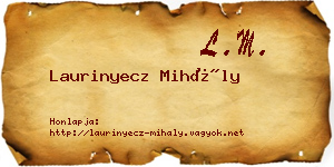 Laurinyecz Mihály névjegykártya